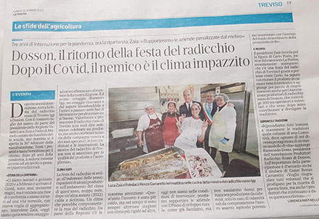 video radicchio dosson